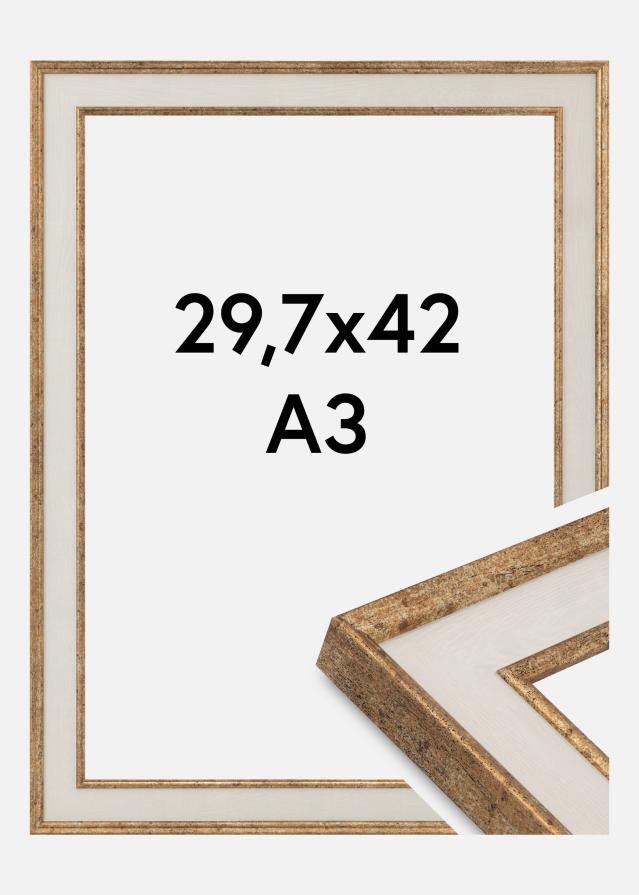 Ramme Dolly Akrylglass Gull 29.7x42 cm (A3)