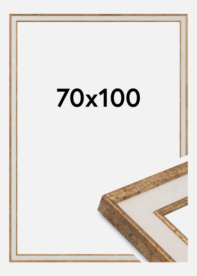 Ramme Dolly Akrylglass Gull 70x100 cm