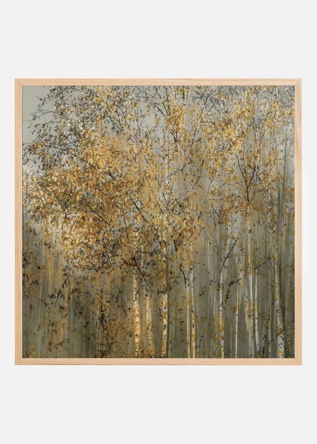 Birch impression Plakat