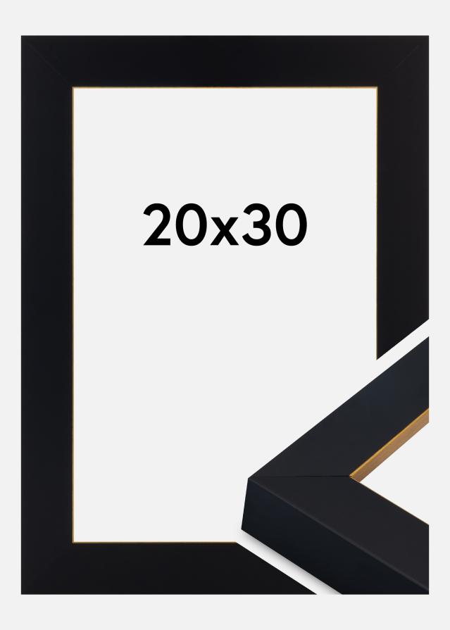 Ramme Sussex Akrylglass Svart/Gull 20x30 cm