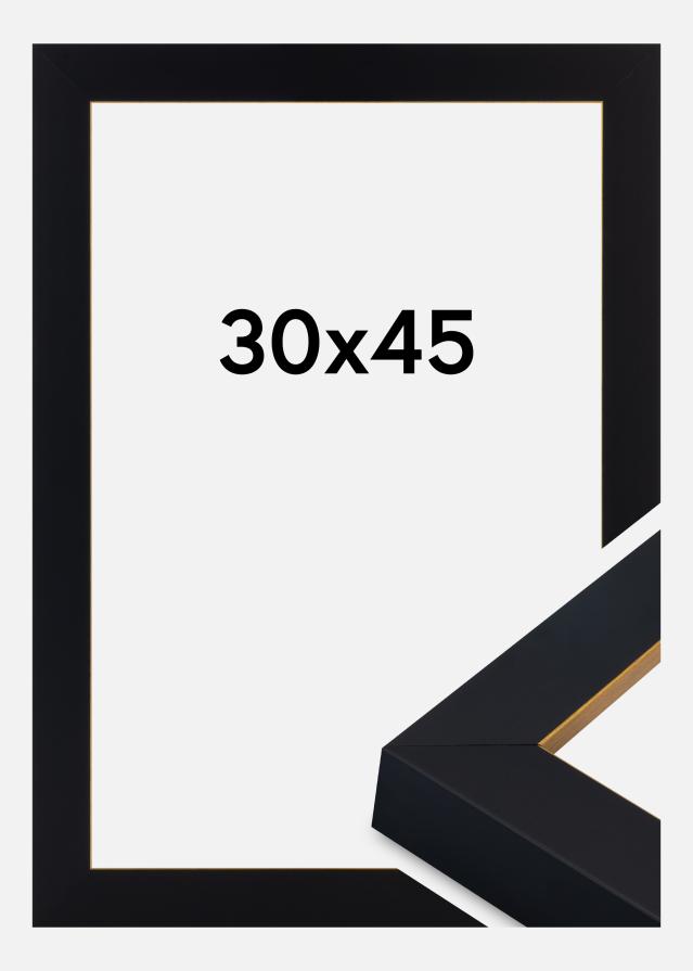 Ramme Sussex Akrylglass Svart/Gull 30x45 cm