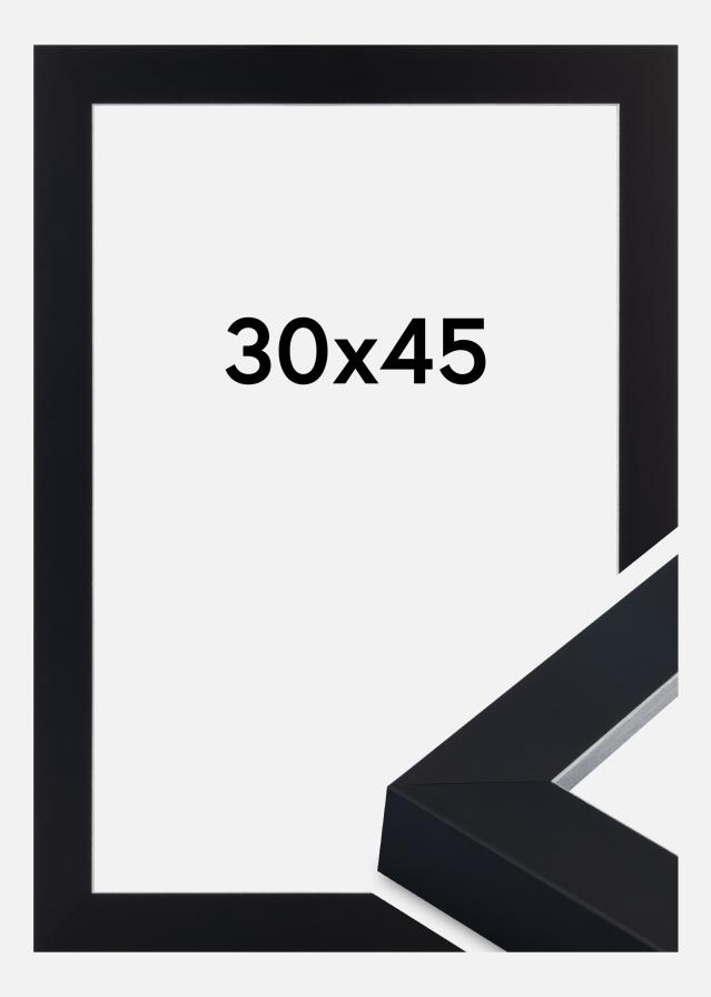 Ramme Sussex Akrylglass Svart/Sølv 30x45 cm