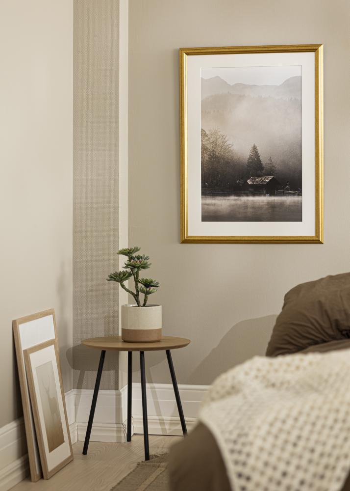 Ramme Västkusten Akrylglass Gull 8x10 inches (20,32x25,4 cm)