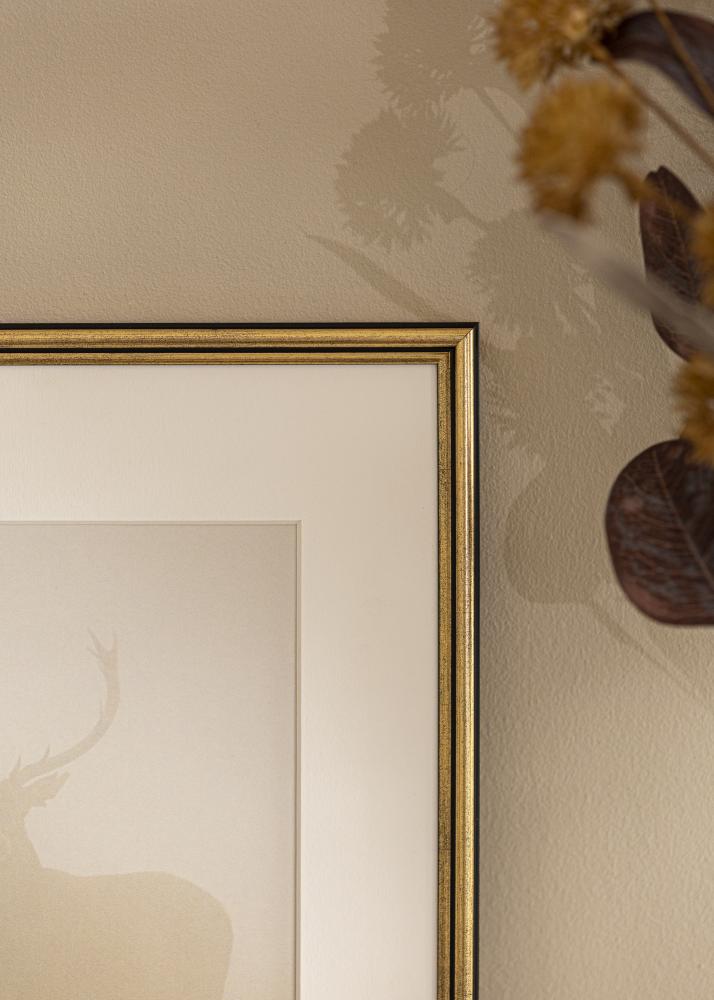 Ramme Horndal Akrylglass Gull 7x10 cm