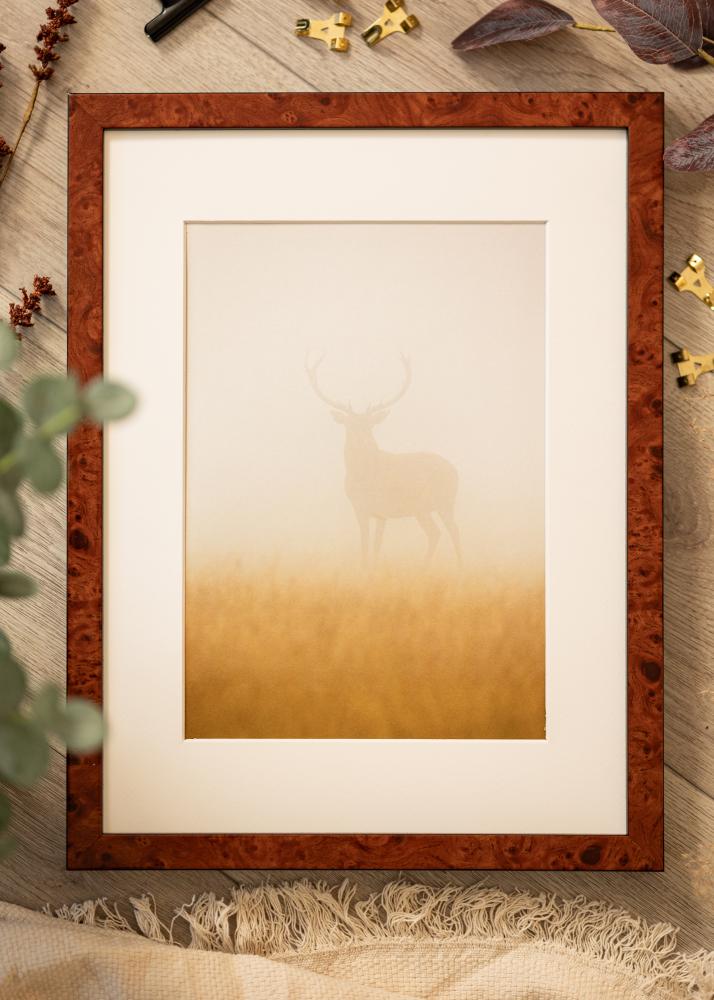 Ramme Hermes valnøtt 60x70 cm - Passepartout Hvit B2 500x707 mm