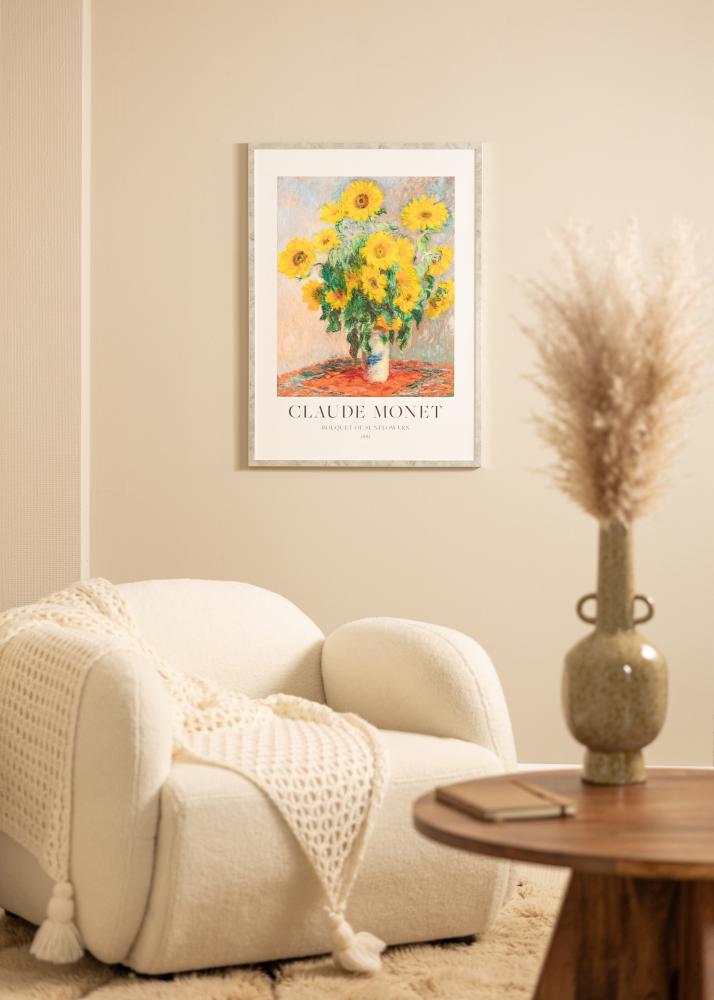 Ramme Ares Sølv 24x30 cm - Passepartout Hvit 7x9 inches