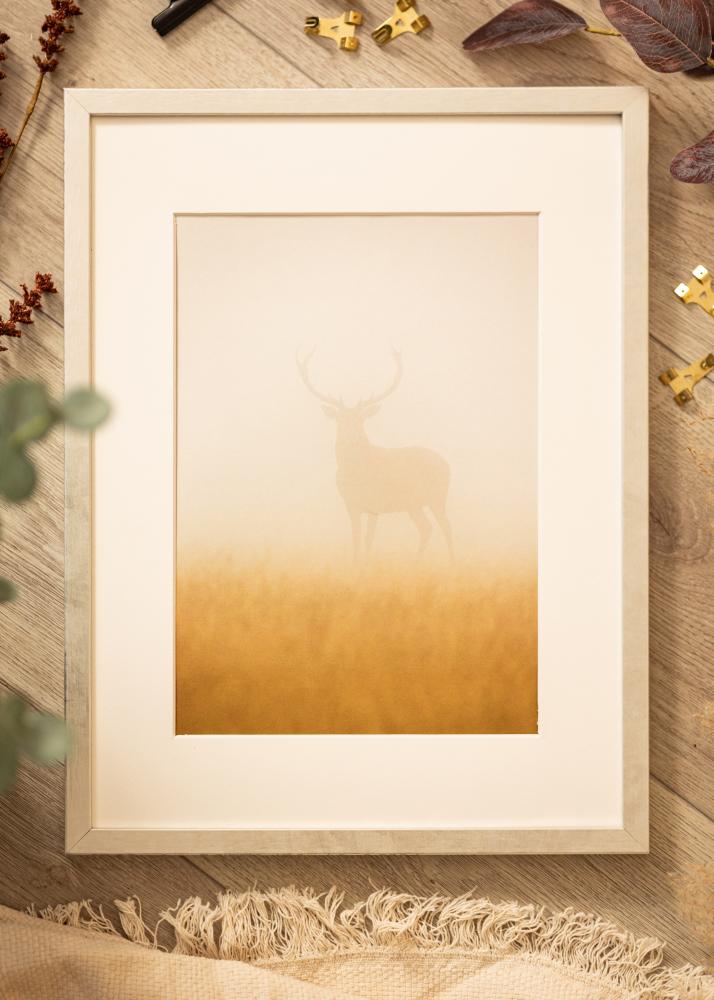 Ramme Ares Sølv 24x30 cm - Passepartout Hvit 7x9 inches