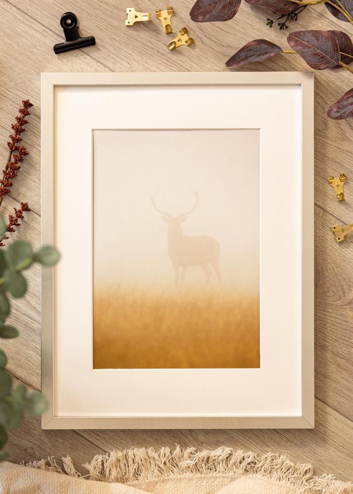 Ramme Minerva Sølv 45x60 cm - Passepartout Hvit 13x19 inches