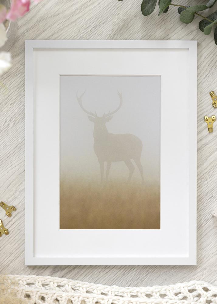 Ramme Trendy Akrylglass Hvit 42x59,4 cm (A2)