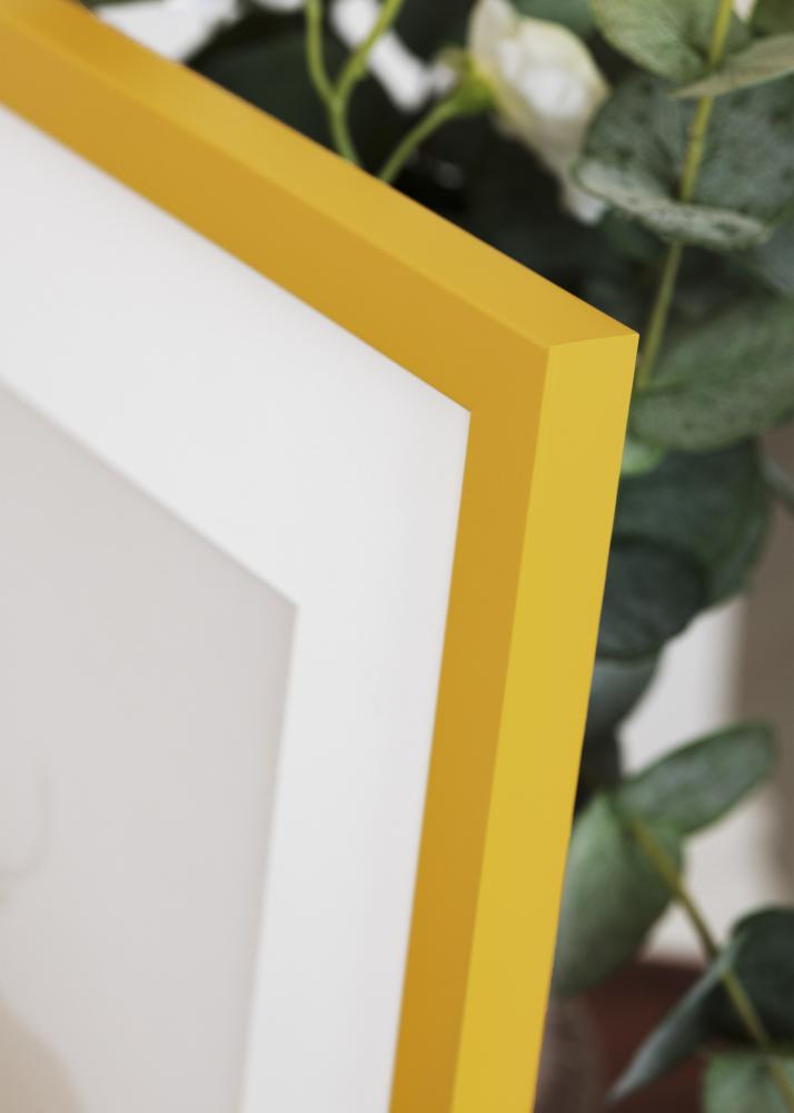 Ramme Kent Akrylglass Gull 21x29,7 cm (A4)