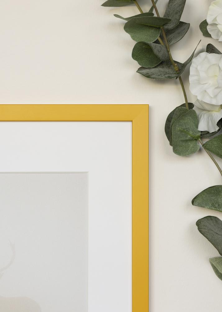 Ramme Kent Akrylglass Gull 21x29,7 cm (A4)