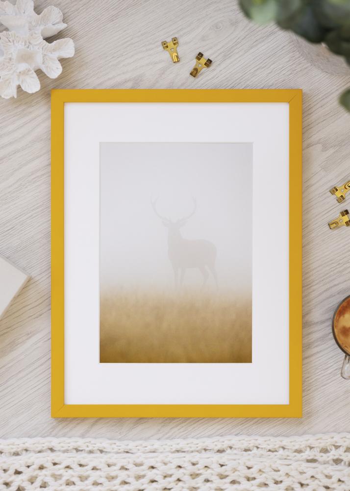 Ramme Kent Akrylglass Gull 21x29,7 cm (A4)