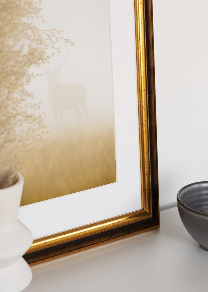 Ramme Aberystwyth Akrylglass Gull 21x29,7 cm (A4)