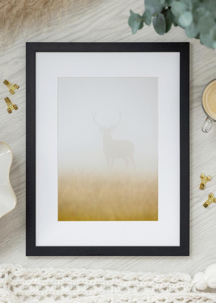 Ramme Jämtland Akrylglass Svart 27x48 cm