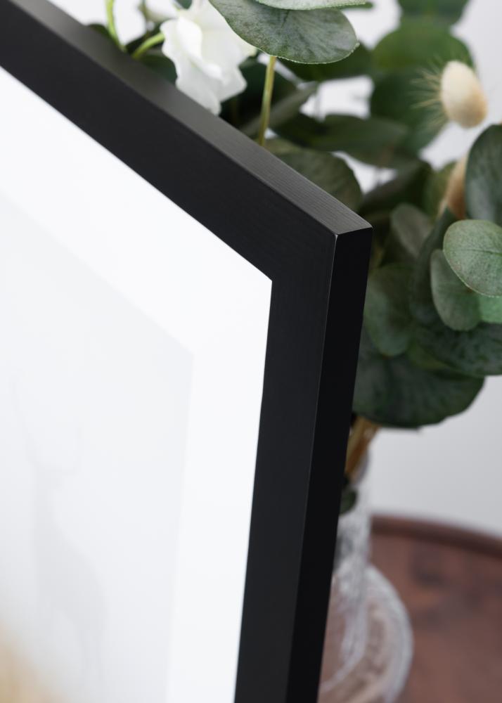 BGA Select Wide Akrylglass Svart 60x80 cm