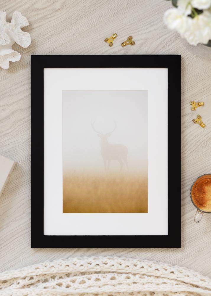 BGA Select Wide Akrylglass Svart 60x80 cm