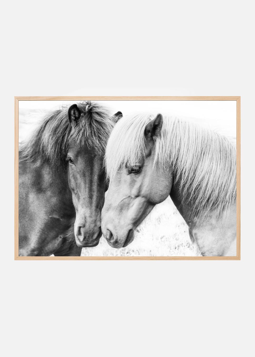 Product Image for Horse Love Plakat (70x100 cm)