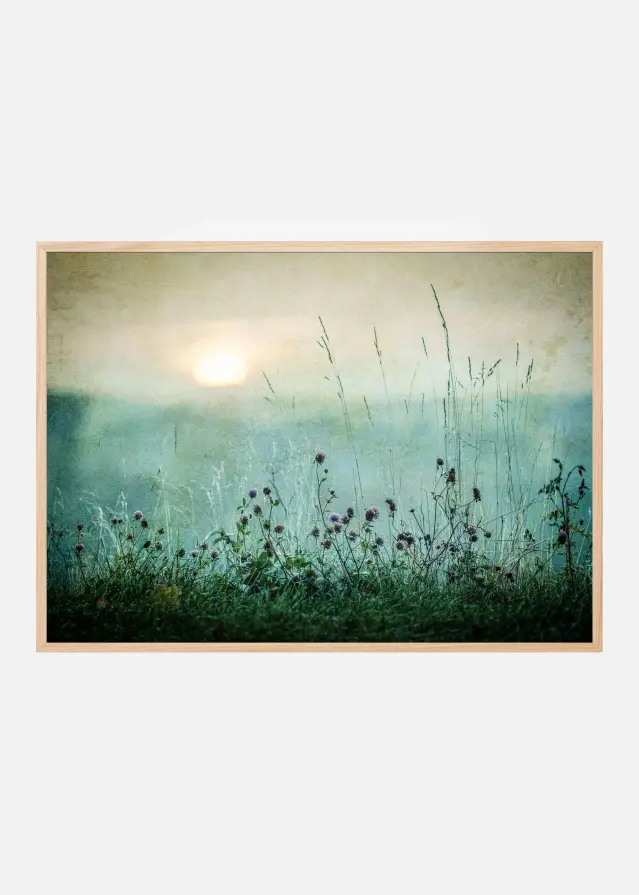 Autumn sunrise Plakat