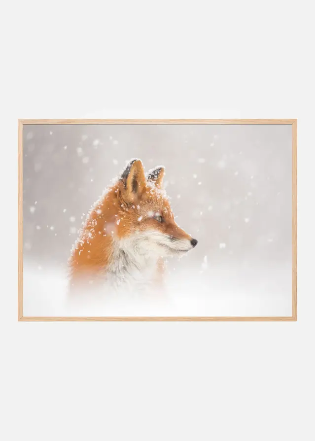 Snow is fallingab Plakat