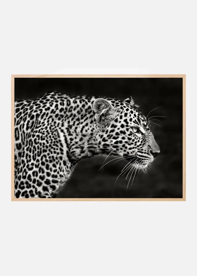 Leopard Close Up Plakat