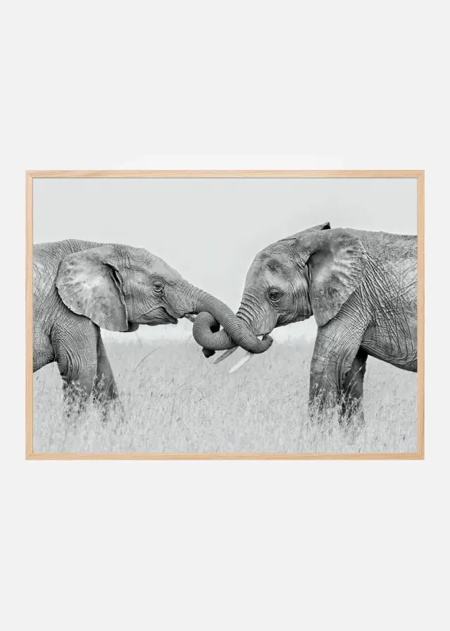 Confrontation Plakat