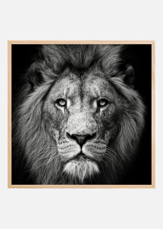 Stare Me Down #3 Plakat