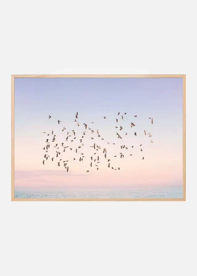 Sunset Flight Plakat