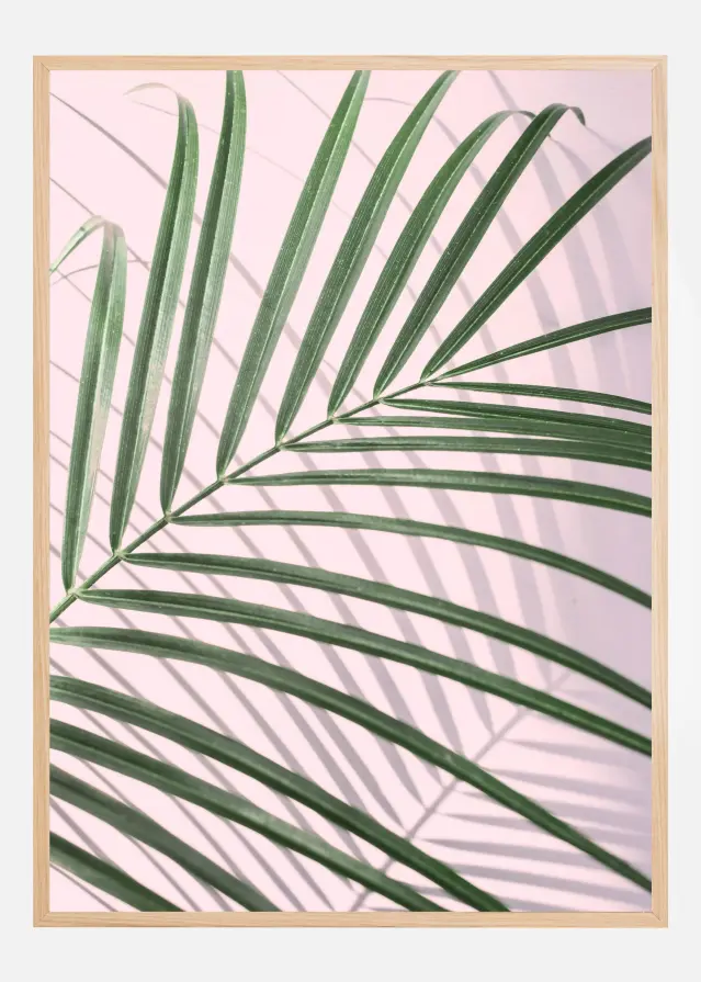 Palm Leaf Shadow Plakat