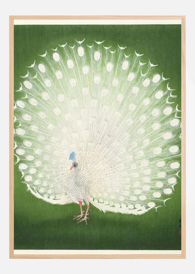 Peacock Plakat