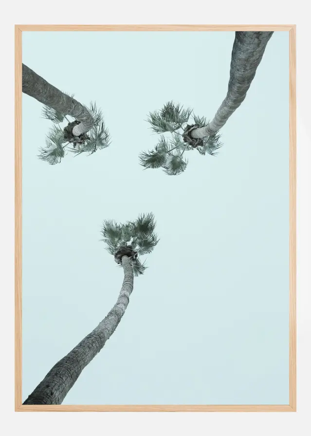 My Mint Moment Plakat