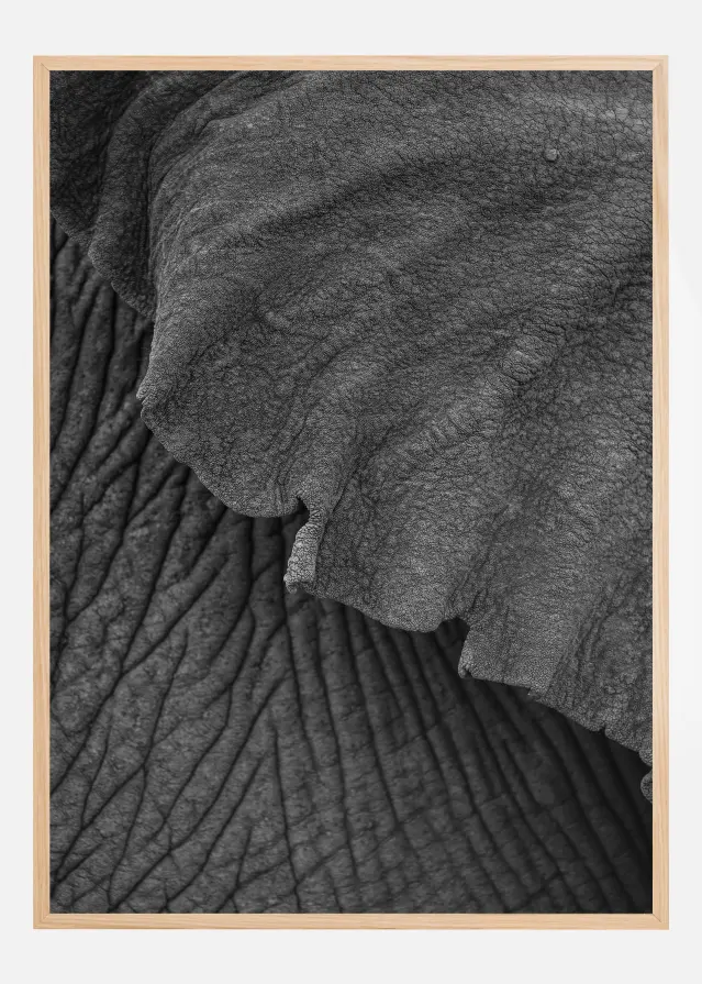 Olifant 02 Plakat