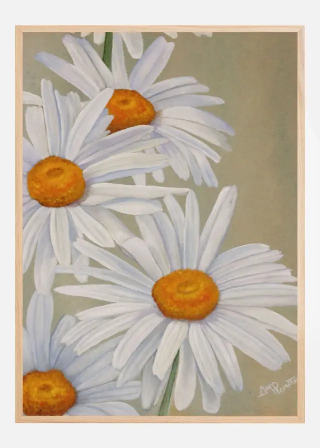 White Daisies Plakat