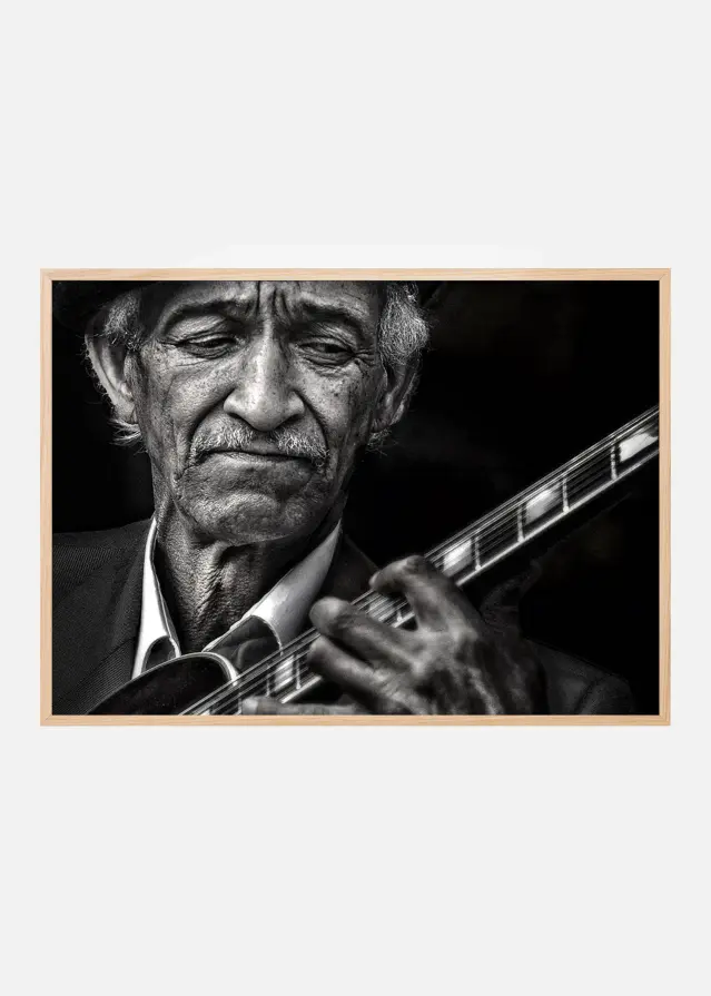 the guitarist Plakat