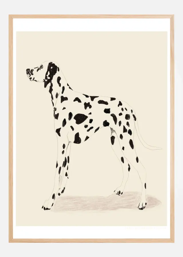 Pandc Dalmation Plakat