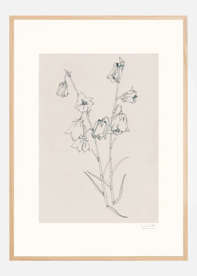 Bellflowers ink drawing Plakat