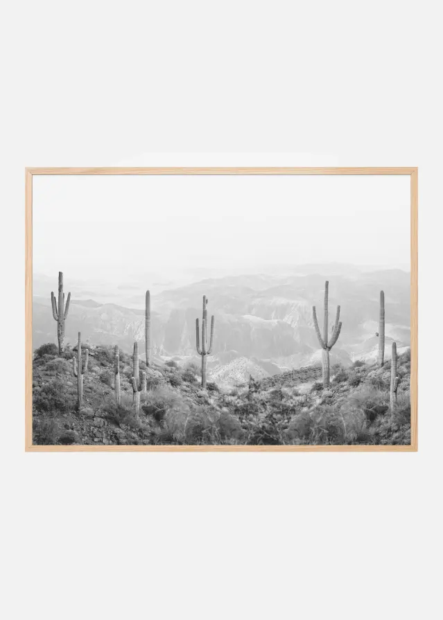 Western Cactus Plakat