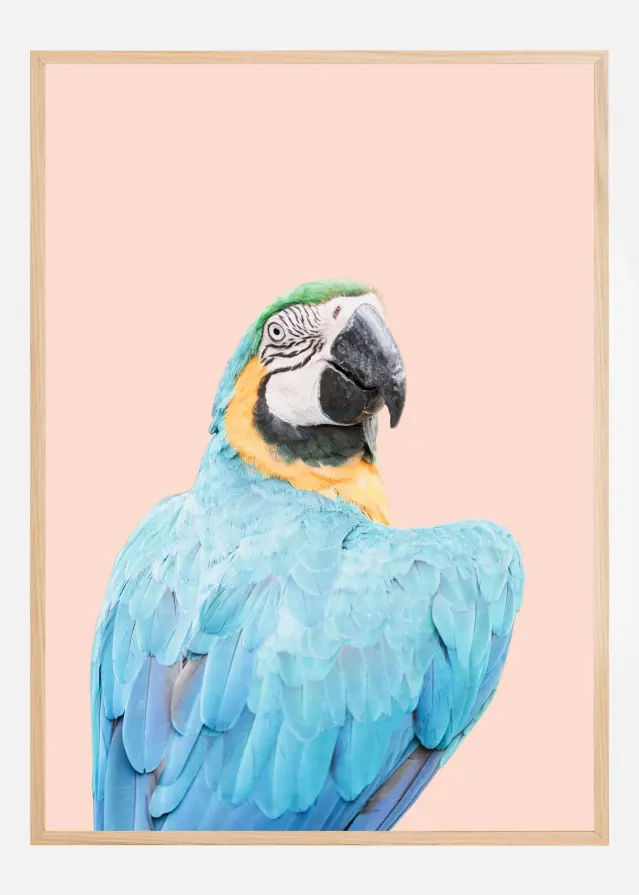 Blue Macaw Plakat
