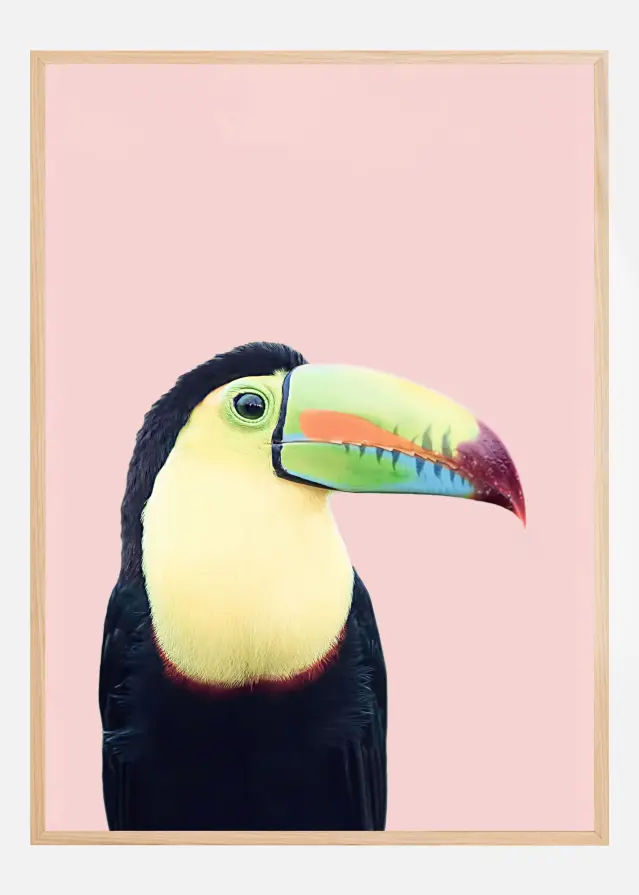 Toucan on Pink Plakat