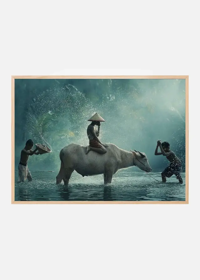 Water Buffalo Plakat
