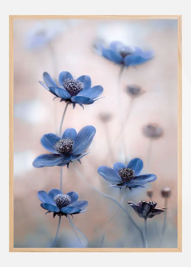Cosmos blue Plakat