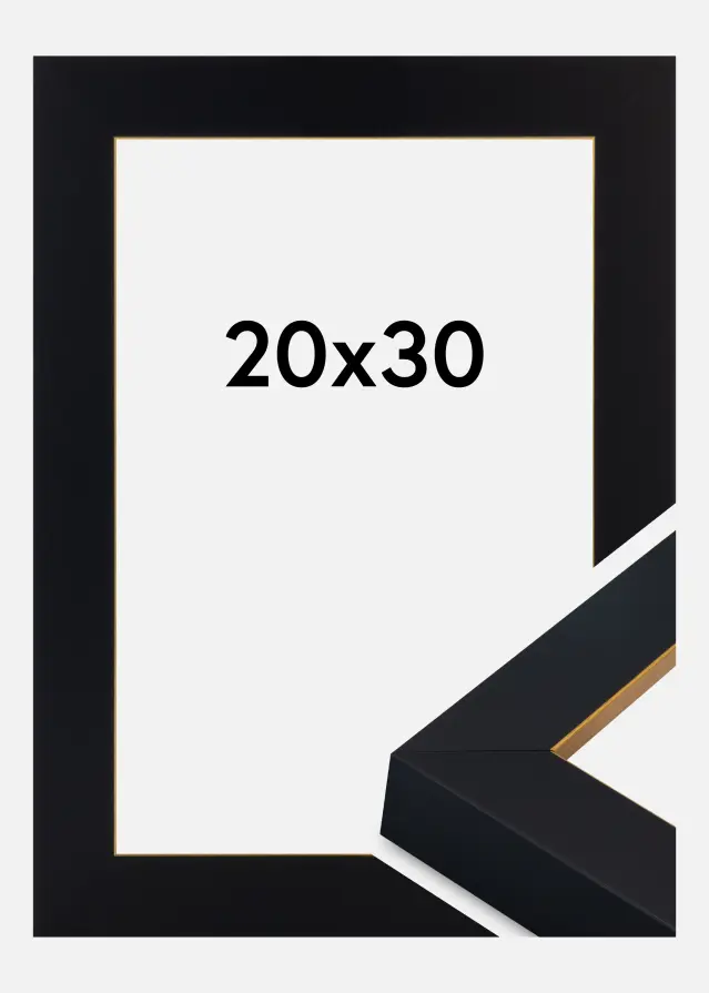 Ramme Sussex Akrylglass Svart/Gull 20x30 cm