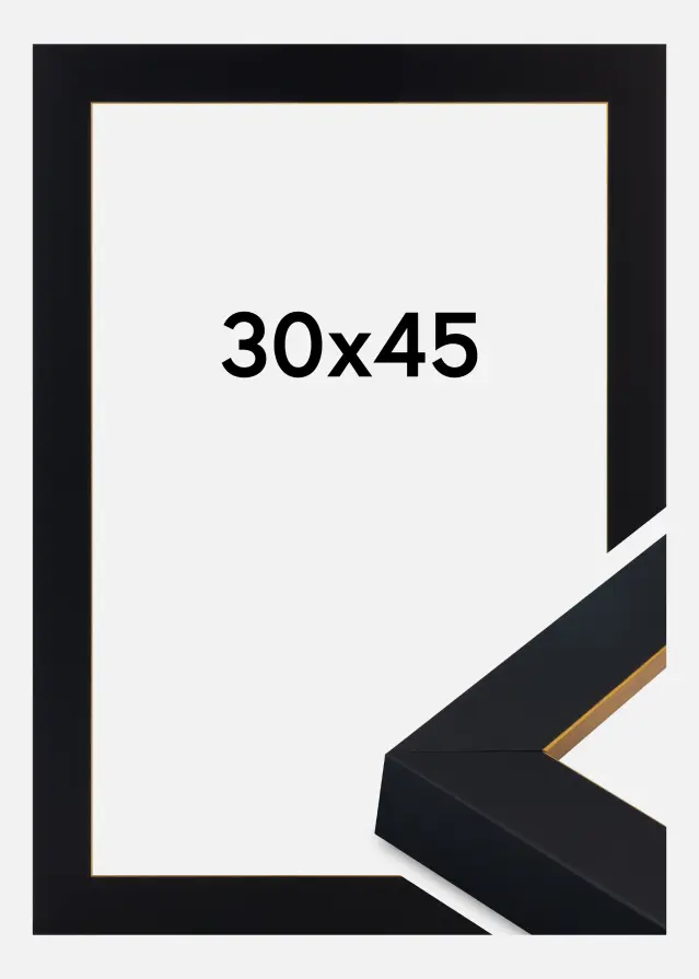Ramme Sussex Akrylglass Svart/Gull 30x45 cm