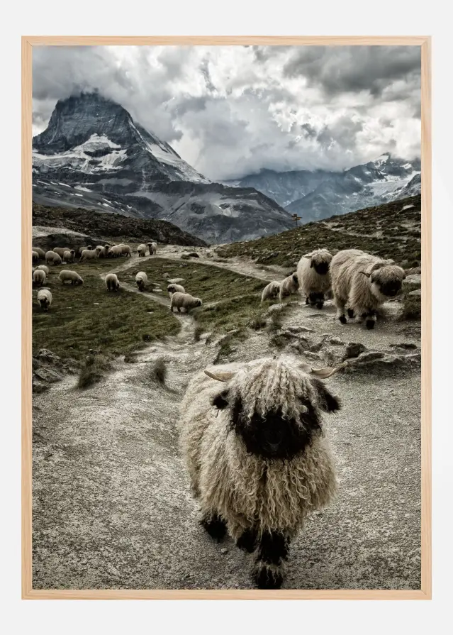 Out of my way Plakat