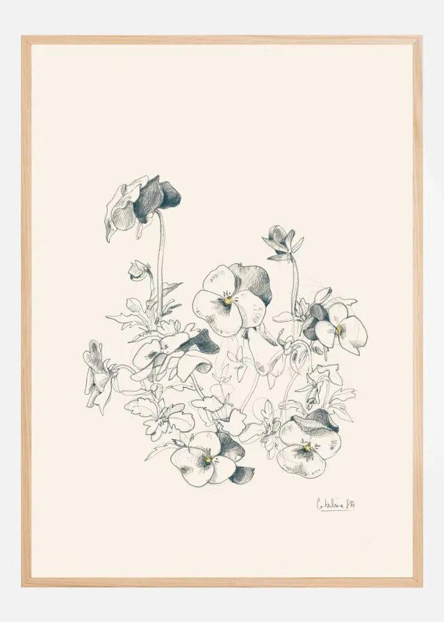 Pansies pencil drawing Plakat