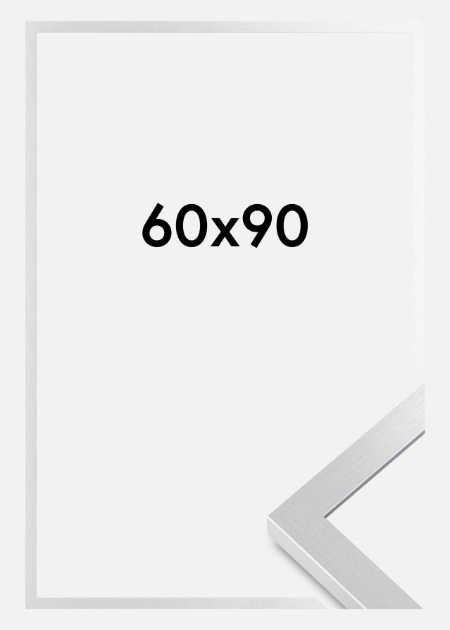 Ramme Selection Akrylglass Sølv 60x90 cm