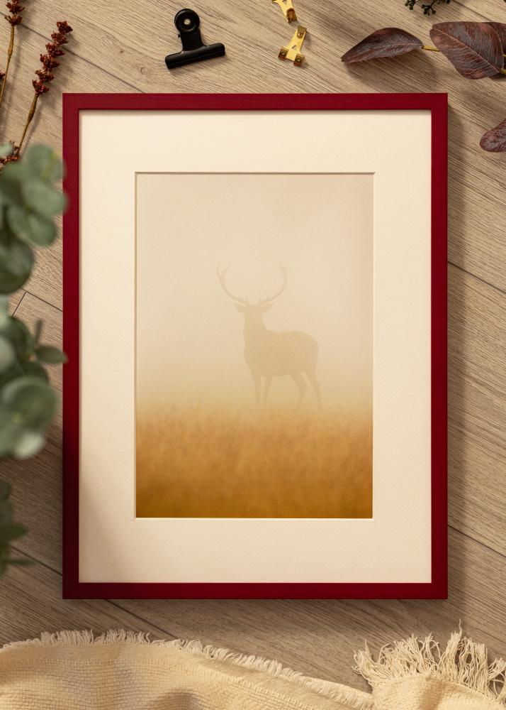 Colorful Akrylglass Rød 60x80 cm