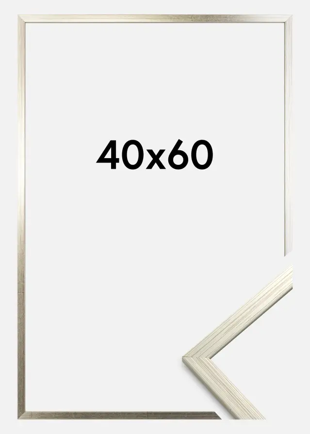 Ramme Edsbyn Akrylglass Sølv 40x60 cm