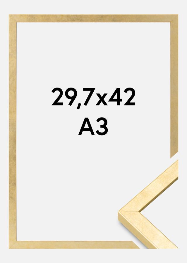 Ramme Ares Akrylglass Gull 29,7x42 cm (A3)