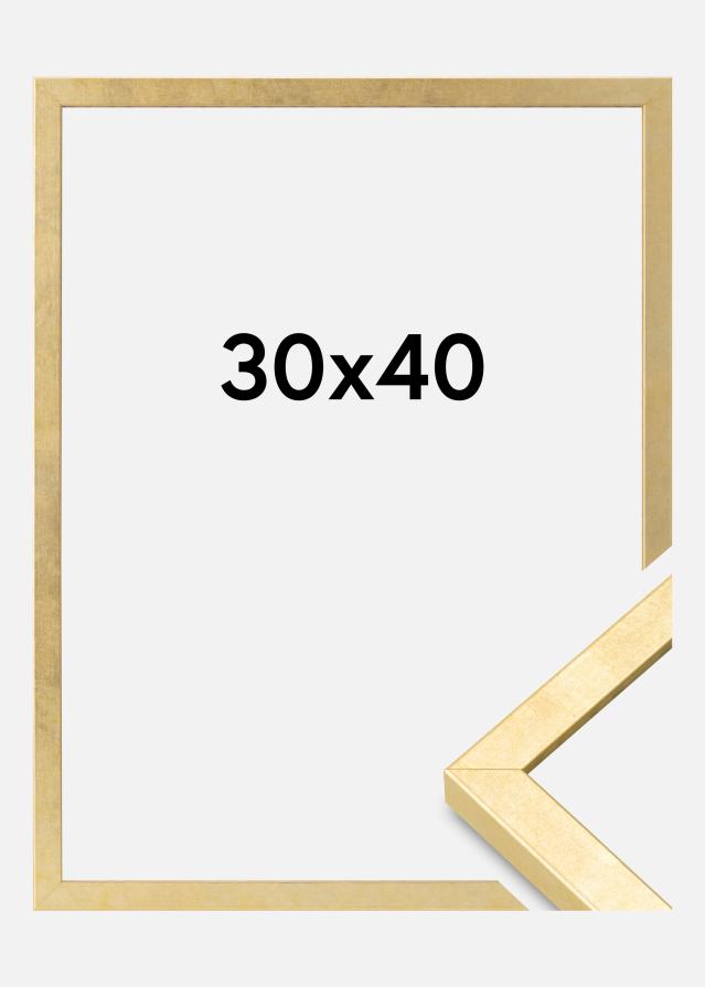 Ramme Ares Akrylglass Gull 30x40 cm