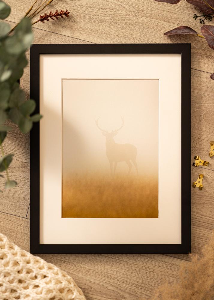 Ramme Deco Akrylglass Svart 20x30 cm